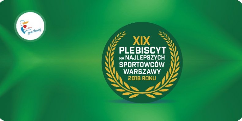 Plebiscyt - logo na zielonym tle