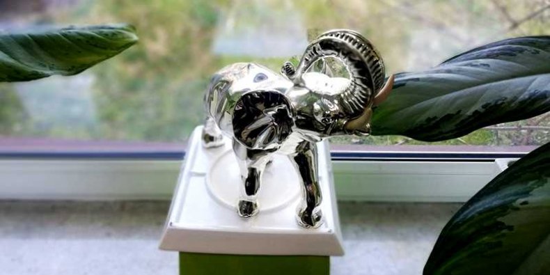 Słonik z ZOO na szczęście