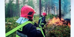 Misja Szwecja - z 1. wystawy Piotr Zwarycza w Warszawie