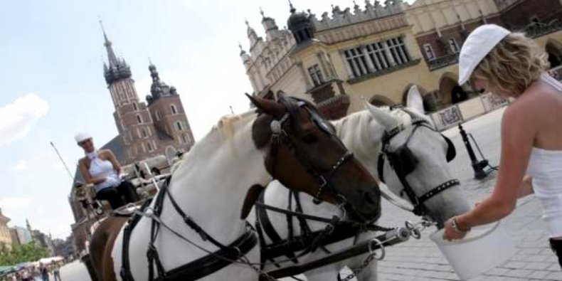 Dorożka w Krakowie - zdjęcie: Katarzyna Prokuska, Gazeta Krakowska, PPG