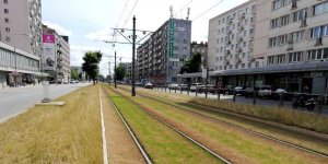 Ulica Puławska w weekend