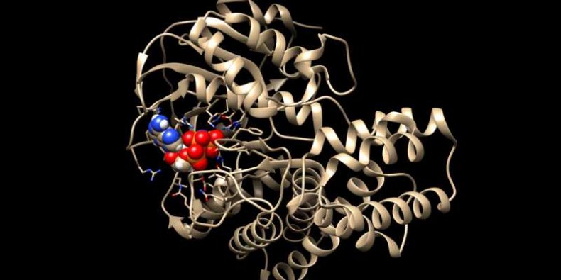 Tajemnicze białko - wstążkowy model cząsteczki