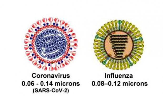 Wymiary wirusów - z lewej koronawirus, z prawej grypy