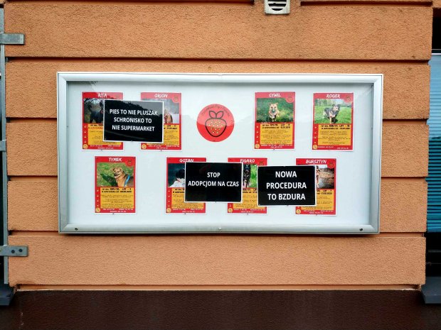 Strajk na Paluchu - oklejona tablica ogłoszeń adopcyjnych w schronisku na Paluchu