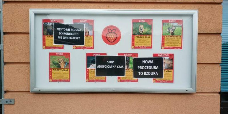 Strajk na Paluchu - oklejona tablica ogłoszeń adopcyjnych