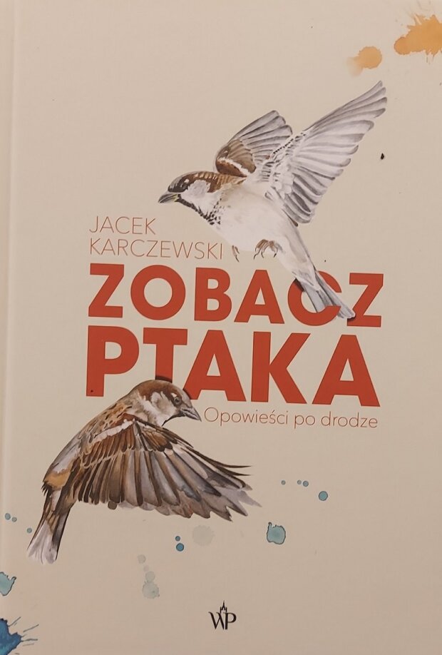 Zobacz ptaka okładka książki