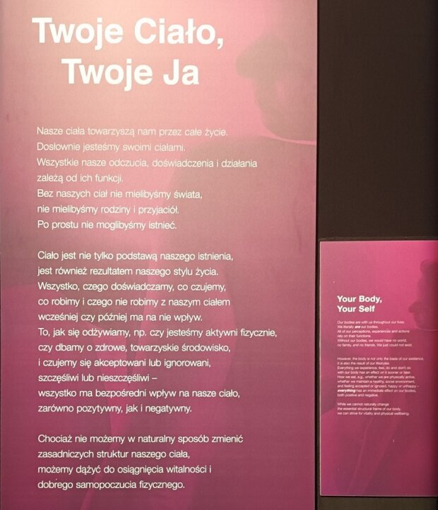 BODY WORLDS Twoje ciało, Twoje ja