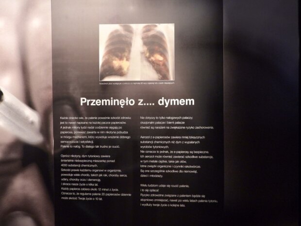 BODY WORLDS coś dla palaczy