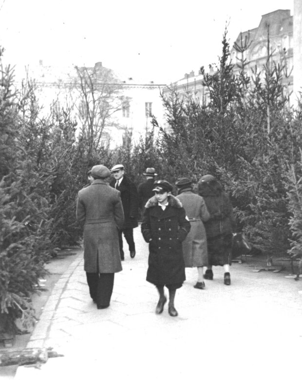 Przedwojenny handel choinkami na pl. Trzech Krzyży w 1934 roku