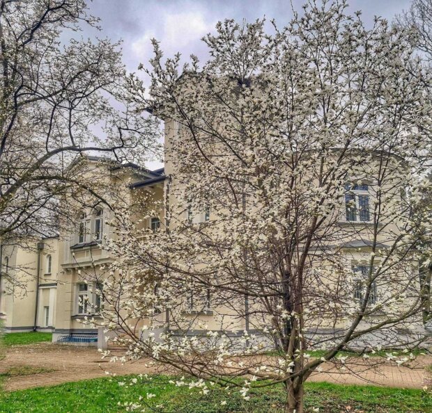 Włochy - Pałac Koelichenów - dziś Biblioteka Publiczna