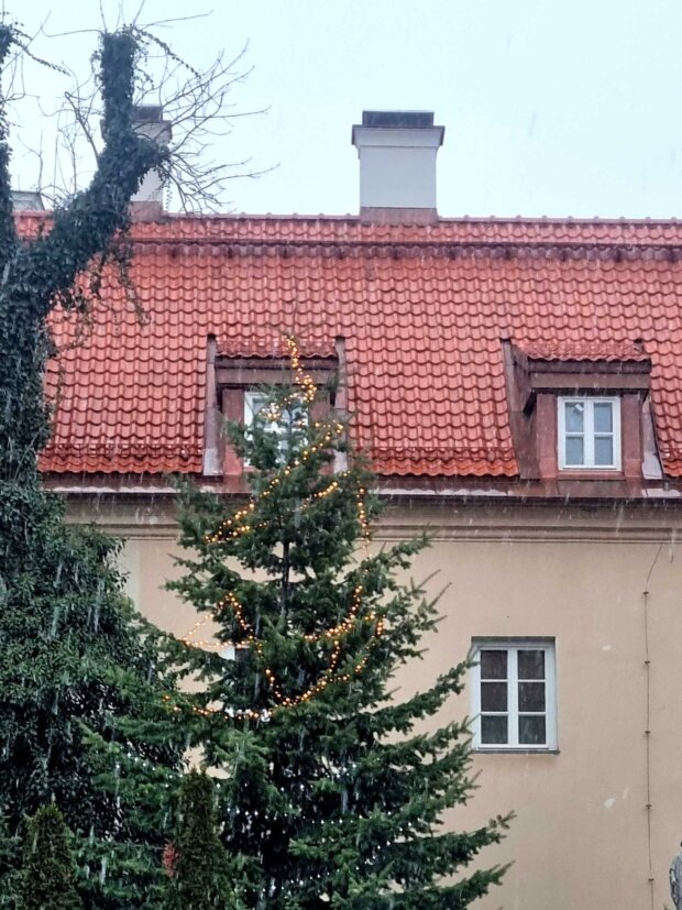 Dziedziniec pałacu Kaznowskich. Fot. Arch. autorki