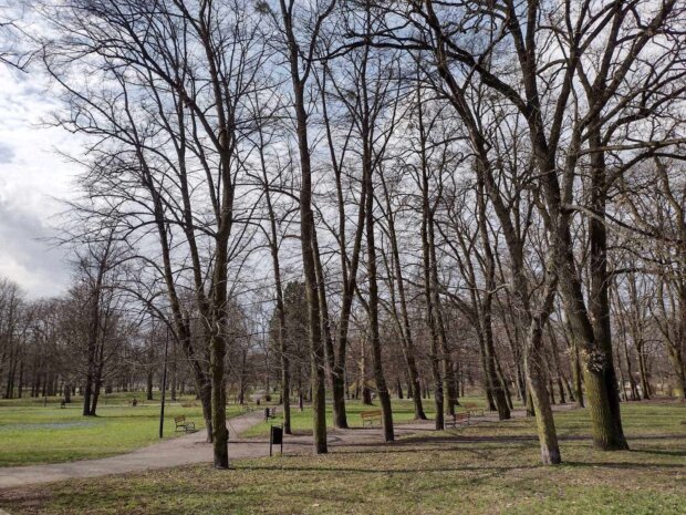 Park im. Juliusza Słowackiego w Łodzi dawniej Wenecja - miejsce objawień Heleny Kowalskiej. Fot. arch. autora