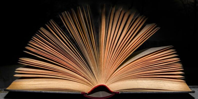 Książka to okno na świat, to promień słońca, który rozświetla ciemne noce, to najlepszy doradca we wszystkich sprawach - Stanisław Lem. Fot. Skitterphoto (Pexels.com)