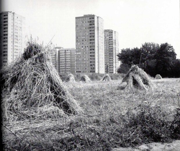 Sianokosy przy ul. Bukowińskiej - i bloki przy ul. Cieszyńskiej w 1978 r. Ze zbiorów CAF-PAP. Źródło T. Lubiński ''Warszawa. Trzy epoki-Warsaw. Three epochs'', Bielsko-Biała 2006. Fot. z arch. autorki