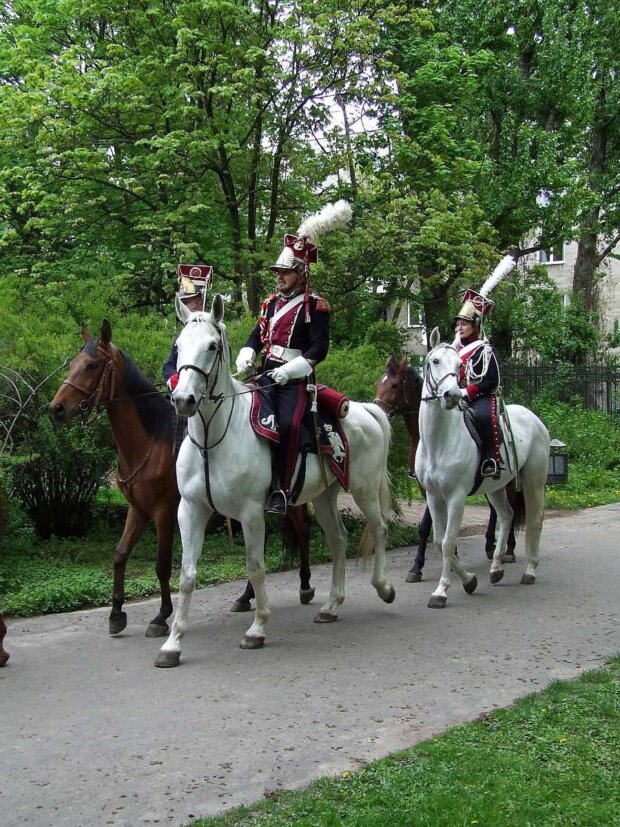 1 Pułk Szwoleżerów-Lansjerów Gwardii Cesarskiej - rekonstrukcja, parada z okazji święta 3 maja, Łazienki Królewskie w Warszawie. Fot. Hiuppo (Wikimedia)