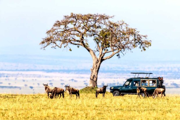 Kenia i safari. Fot. mat. prasowy