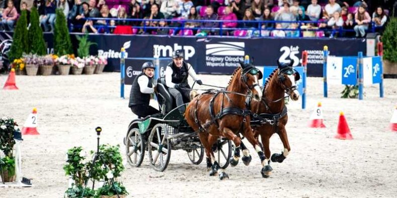 Cavalida - konkurs powożenia. Fot. Aleksander Fularczyk