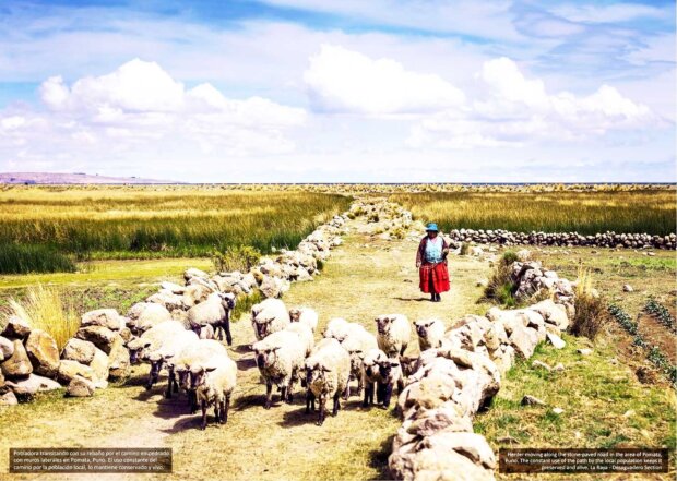 Pasterz wędrujący po kamiennej drodze w okolicy Pomata w Puno - Ciągłe korzystanie ze ścieżki przez miejscową ludność sprawia, że ​​jest ona zachowana i żywa. Sekcja La Raya – Desaguadero. Fot. Ambasada Peru