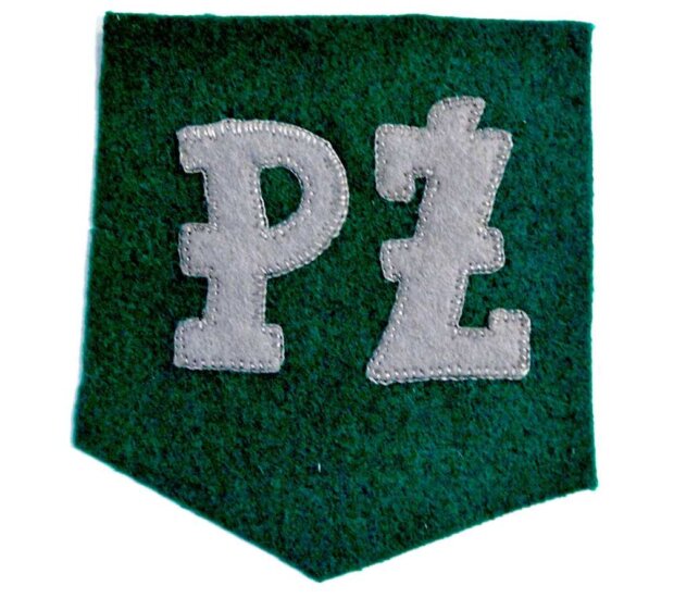 Emblemat ''Pomocy Żołnierzom" - noszony przez większość peżetek podczas Powstania Warszawskiego. Fot. zbiory AAN