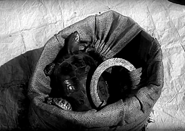 Siatka z żółwiami - fotos z filmu ''Cafe Pod minogą''. Fot. Wojciech Urbanowicz żr. FN