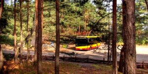 Autobus linii 800 - do Palmir i Kampinosu. Fot. ZTM Warszawa