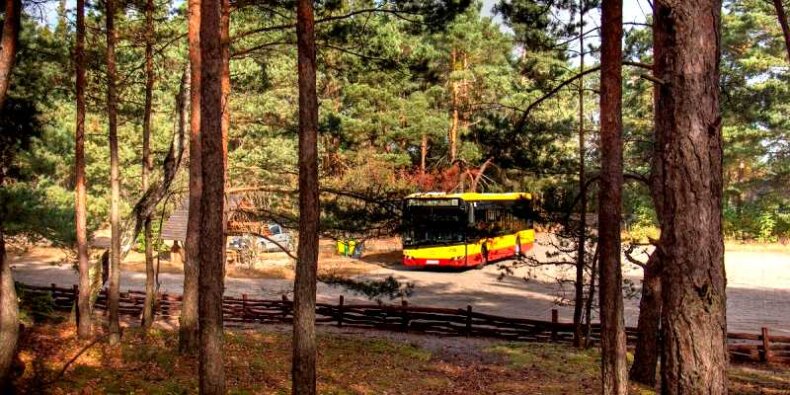 Autobus linii 800 - do Palmir i Kampinosu. Fot. ZTM Warszawa
