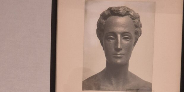 Zdjęcie rzeźby "David" Arnolda Zadikowa fragment planszy