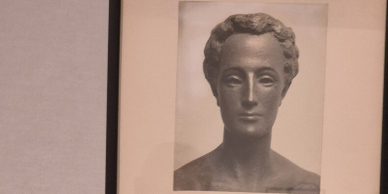 Zdjęcie rzeźby "David" Arnolda Zadikowa fragment planszy