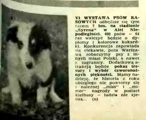 Informacja prasowa o wystawie psów na terenie Stadionu Syreny, 1959 r. Fot. arch. MSiT