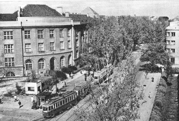 Kompleks budynków SGGW - przy ul. Rakowieckiej (po lewej) w latach 50. Fot. NN (Wikimedia)